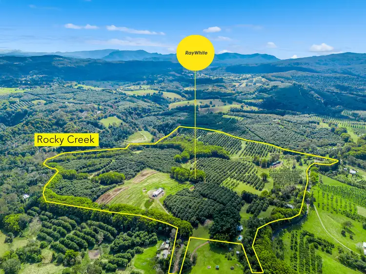 Third view of Homely house listing, 1799 Dunoon Road, Dunoon NSW 2480