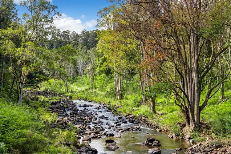 Fourth view of Homely house listing, 1799 Dunoon Road, Dunoon NSW 2480