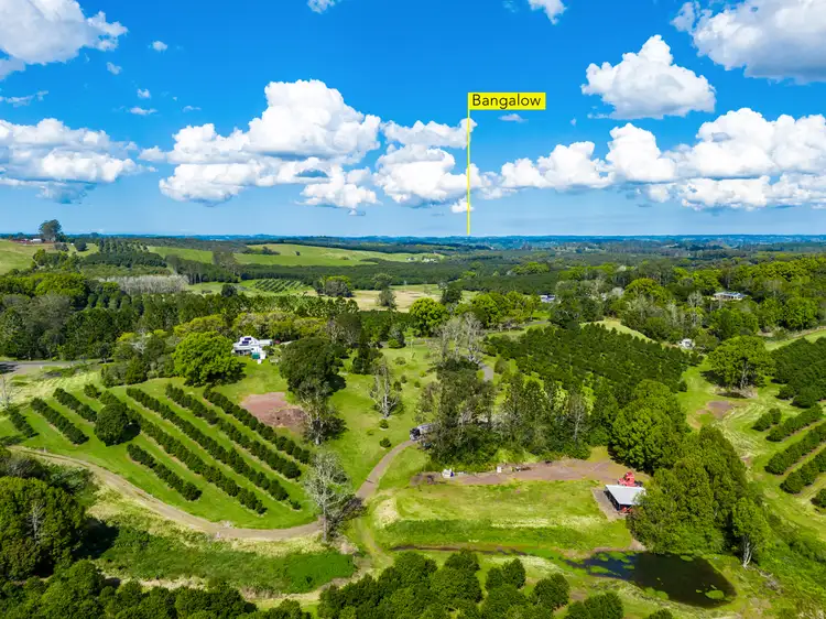 Fifth view of Homely house listing, 1799 Dunoon Road, Dunoon NSW 2480