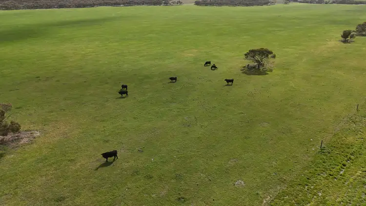 Main view of Homely rural property listing, 2182 Parrakie South Road, Parrakie SA 5301