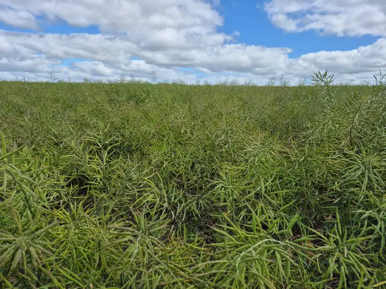 Lot 861 Mills Rd, Esperance WA 6450