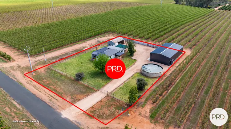 481 Reserve Road East, Coomealla NSW 2717