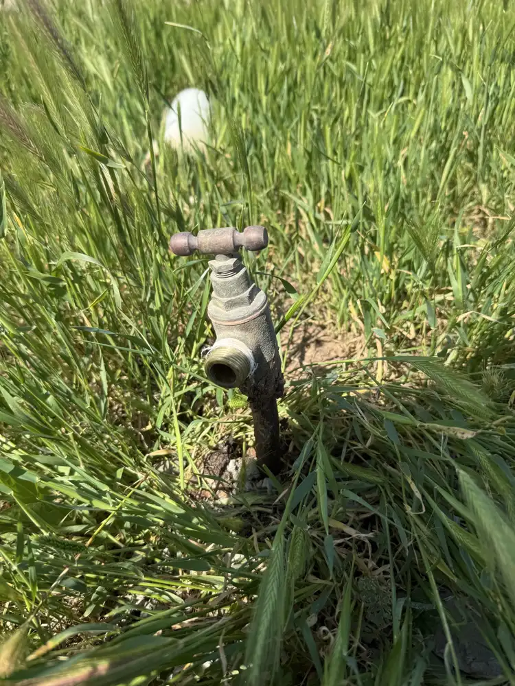 Seventh view of Homely land listing, 27 Chapman Road, Moonta Bay SA 5558