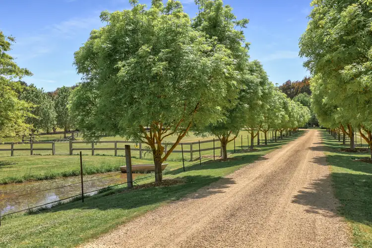 Second view of Homely rural property listing, 137 Mt Battery Road, Mansfield VIC 3722
