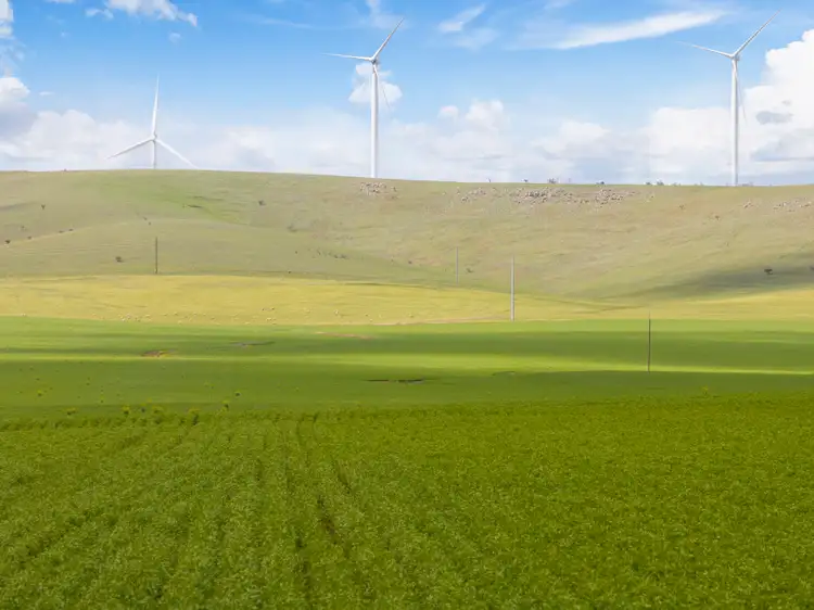 'Stringers' Ireland Road