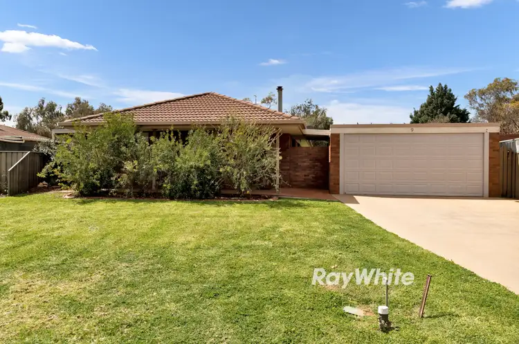 9 Wilkie Drive, Irymple VIC 3498
