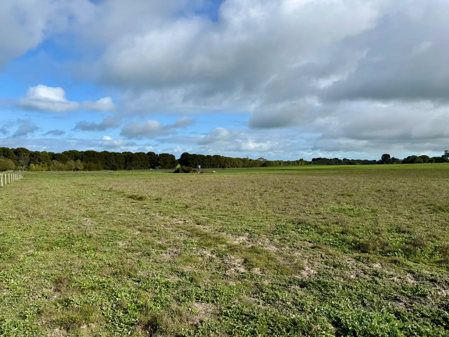 Main view of Homely rural property listing, Lot 673 Riddoch Highway, Naracoorte SA 5271