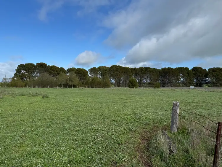 Third view of Homely rural property listing, Lot 673 Riddoch Highway, Naracoorte SA 5271