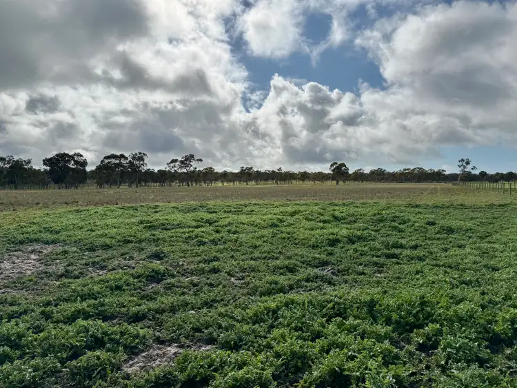 Fourth view of Homely rural property listing, Lot 673 Riddoch Highway, Naracoorte SA 5271