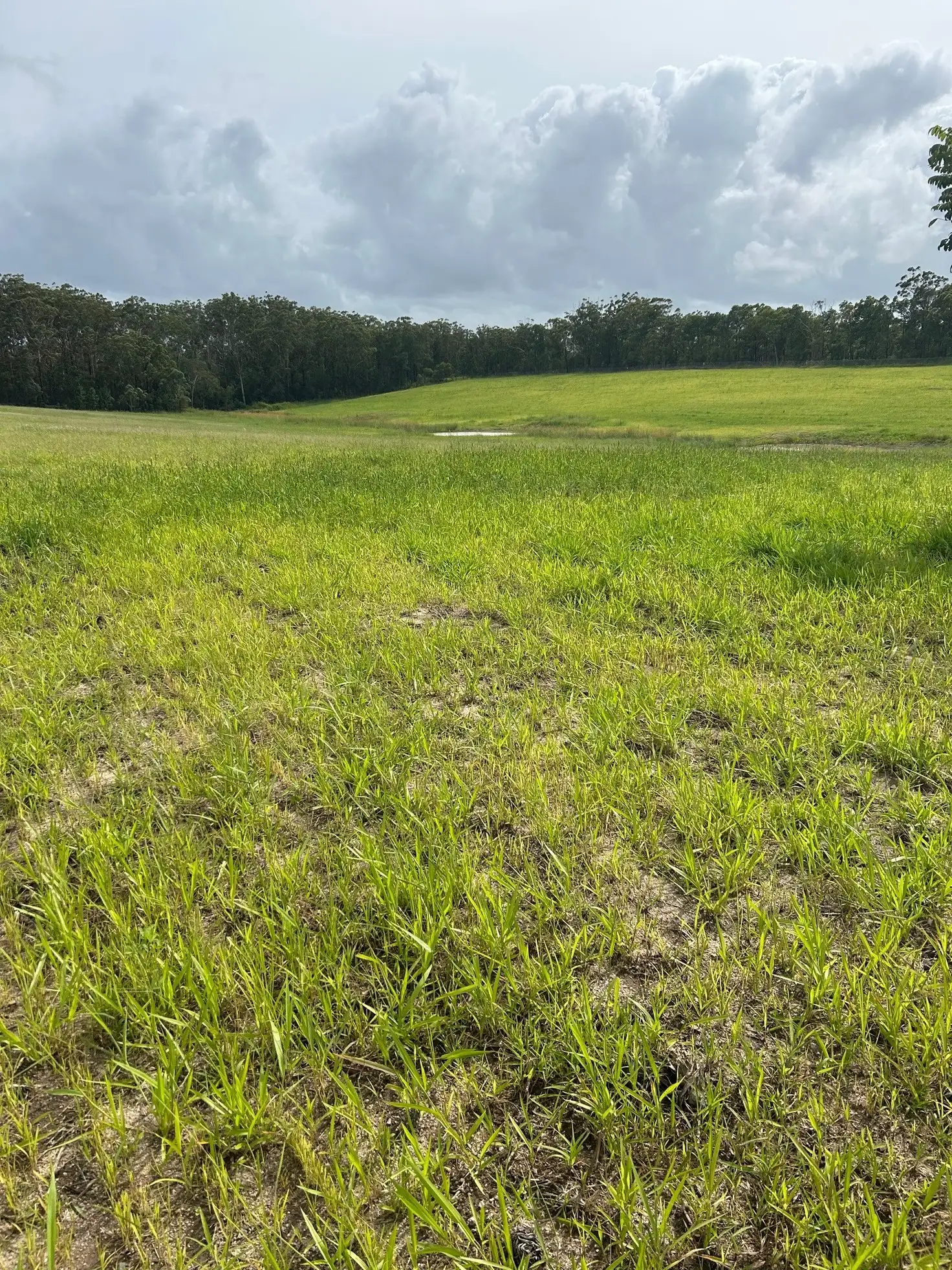 Main view of Homely land listing, Address available on request