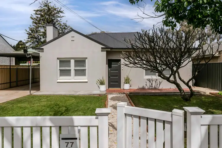 77 Morgan Avenue, Daw Park SA 5041