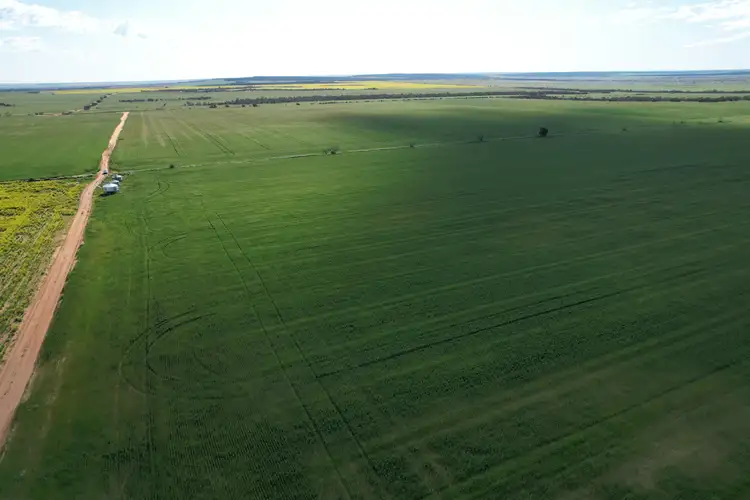 Tenindewa Williamson Road