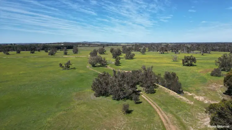 Second view of Homely rural property listing, 3206 Albany Highway, Kenmare WA 6316