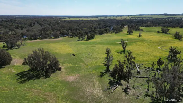 Fifth view of Homely rural property listing, 3206 Albany Highway, Kenmare WA 6316