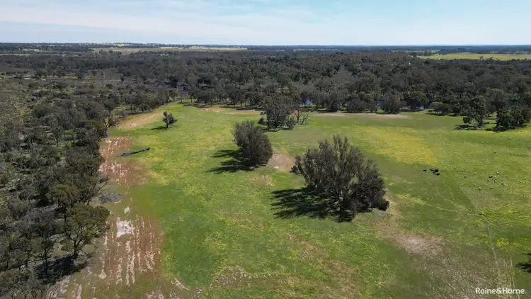 Sixth view of Homely rural property listing, 3206 Albany Highway, Kenmare WA 6316