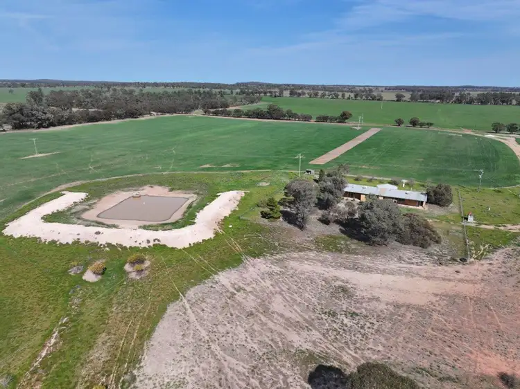 'Dundee', 122 Winters Lane, West Wyalong NSW 2671