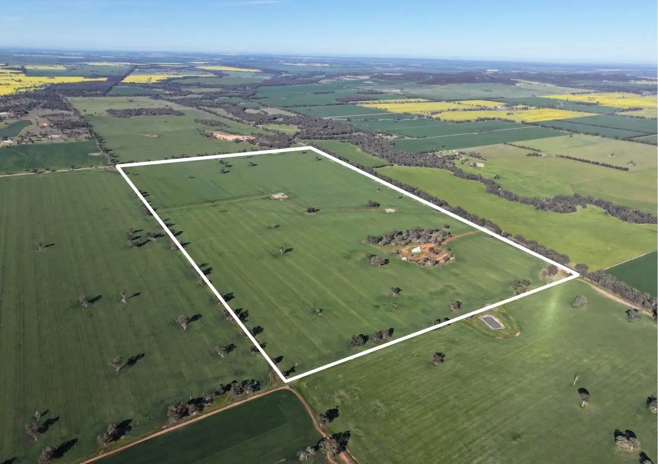 Main view of Homely rural property listing, 'Glencoe' 1700 Morangarell Road, Temora NSW 2666