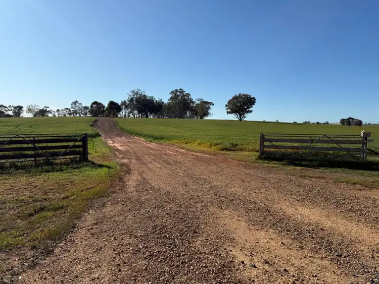 Second view of Homely rural property listing, 'Glencoe' 1700 Morangarell Road, Temora NSW 2666