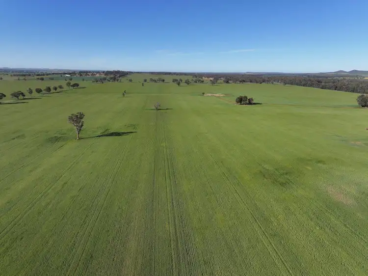 Third view of Homely rural property listing, 'Glencoe' 1700 Morangarell Road, Temora NSW 2666