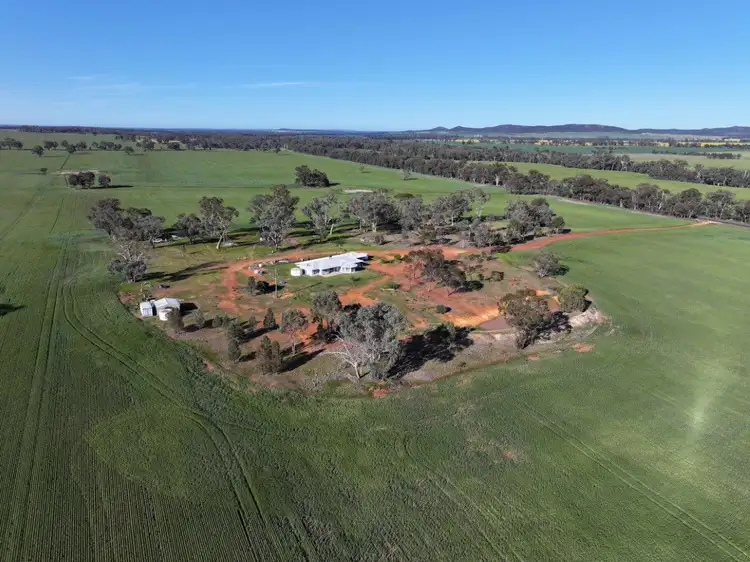 Fourth view of Homely rural property listing, 'Glencoe' 1700 Morangarell Road, Temora NSW 2666