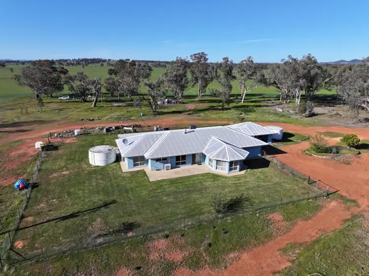 Fifth view of Homely rural property listing, 'Glencoe' 1700 Morangarell Road, Temora NSW 2666