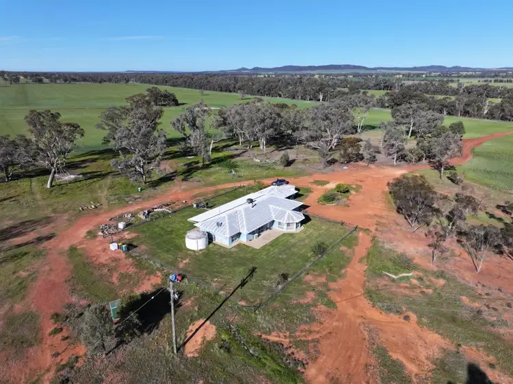 Seventh view of Homely rural property listing, 'Glencoe' 1700 Morangarell Road, Temora NSW 2666