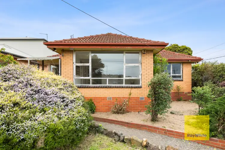 59 Iona Avenue, Belmont VIC 3216