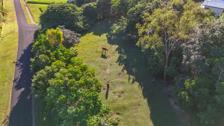 Fifth view of Homely rural property listing, 53 Edward Elgar Close, Speewah QLD 4881