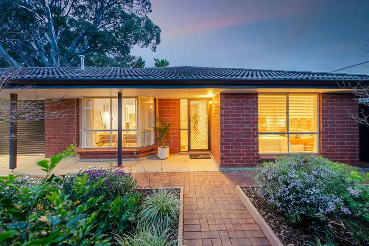 17 Cashel Street