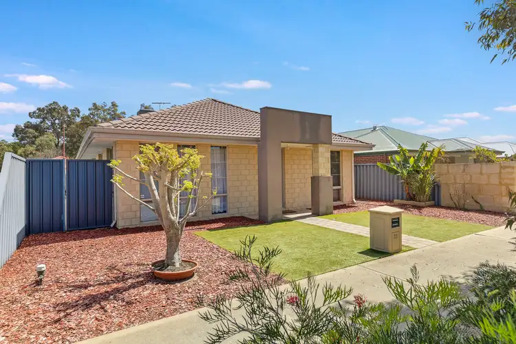33 Chestnut Way, Baldivis WA 6171