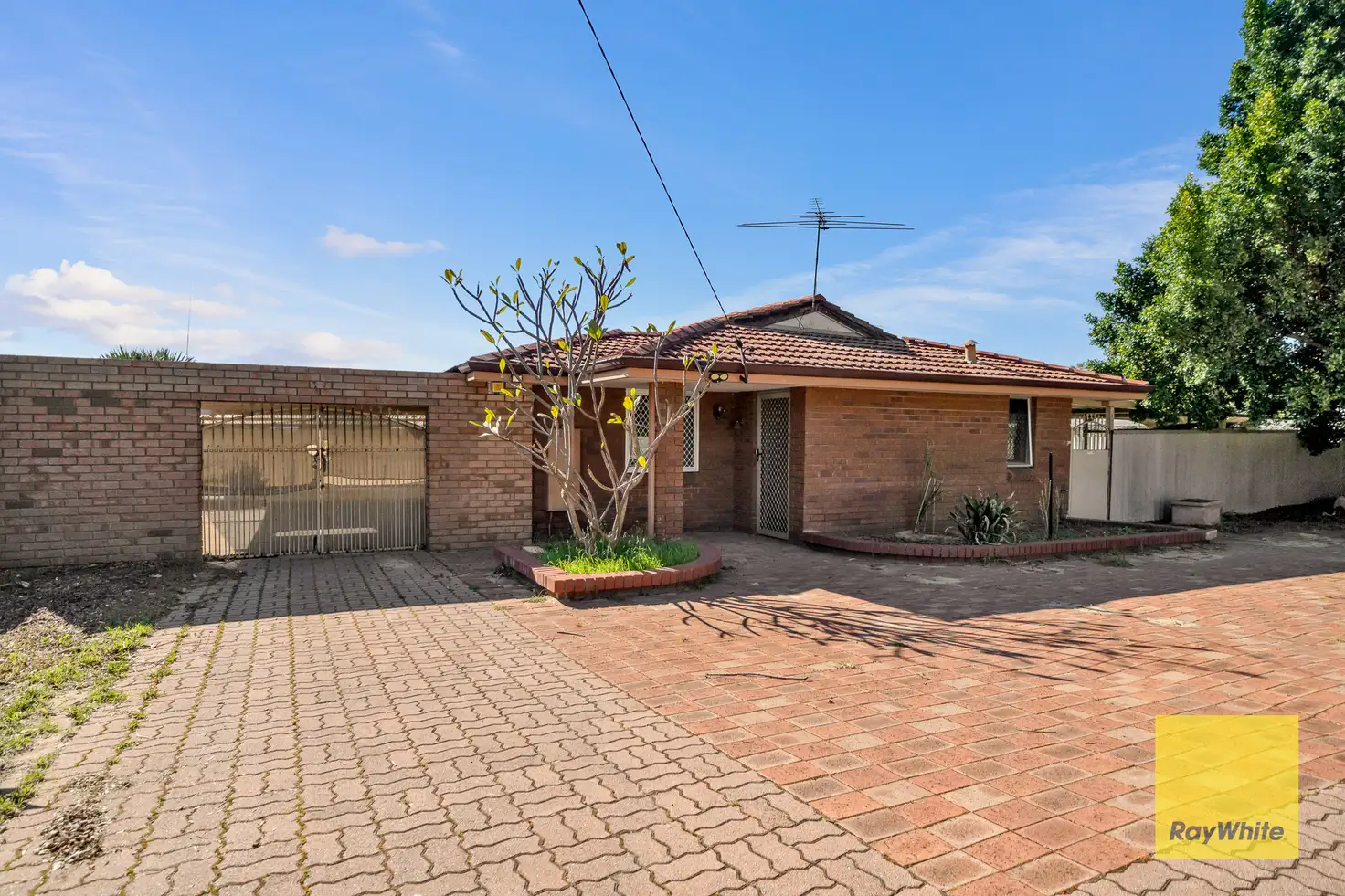 Main view of Homely house listing, 26 Brinckley Crescent, Koondoola WA 6064