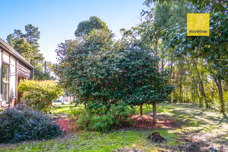 Second view of Homely house listing, 19 Old School Road, Jarrahwood WA 6275