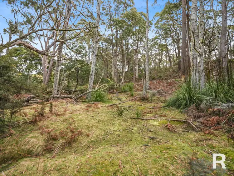 Fourth view of Homely land listing, 441 Elephant Pass Road (lots 1&2), Gray TAS 7215