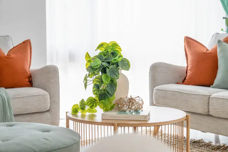 Seventh view of Homely house listing, 21 Centaur Street, Trinity Park QLD 4879