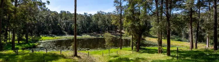 Fourth view of Homely rural property listing, 972 North Deep Creek Road, North Deep Creek QLD 4570