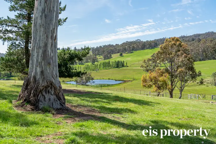 Fifth view of Homely house listing, 430 Black Hills Road, Black Hills TAS 7140