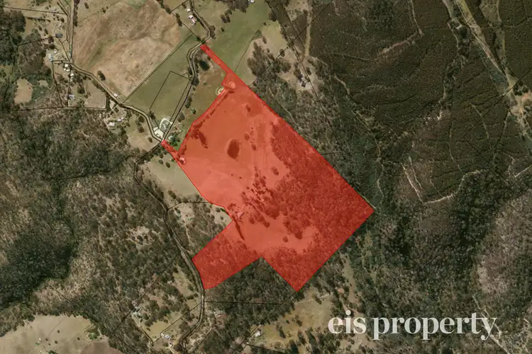 Sixth view of Homely house listing, 430 Black Hills Road, Black Hills TAS 7140