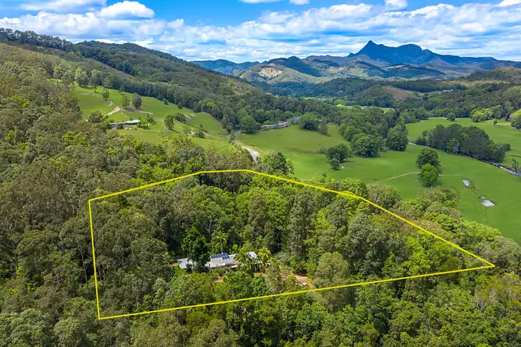 1764 Numinbah Road, Chillingham NSW 2484