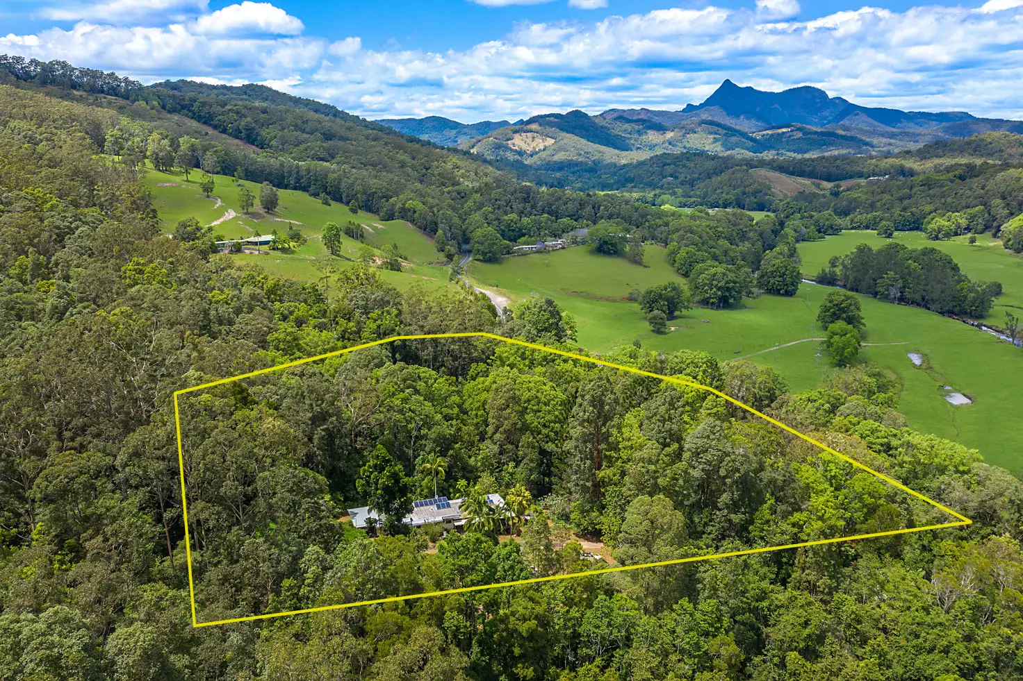 Main view of Homely rural property listing, 1764 Numinbah Road, Chillingham NSW 2484