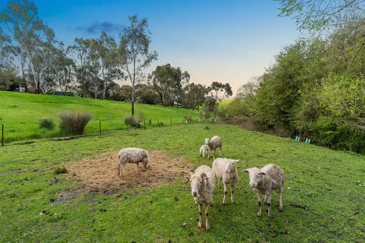 Fifth view of Homely house listing, 99 Mawson Road, Meadows SA 5201