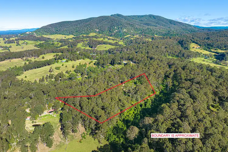 Third view of Homely land listing, 212 Ridge Road, Central Tilba NSW 2546