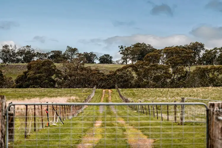Second view of Homely house listing, 870 Valley Road, Glenhope VIC 3444
