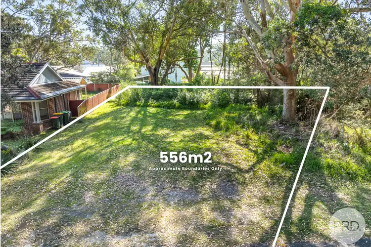 Sixth view of Homely land listing, 31 Dolphin Avenue, Hawks Nest NSW 2324