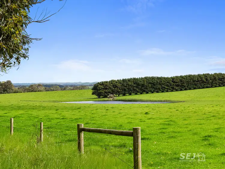 Second view of Homely rural property listing, 115 Buffalo-Stony Creek Road, Buffalo VIC 3958