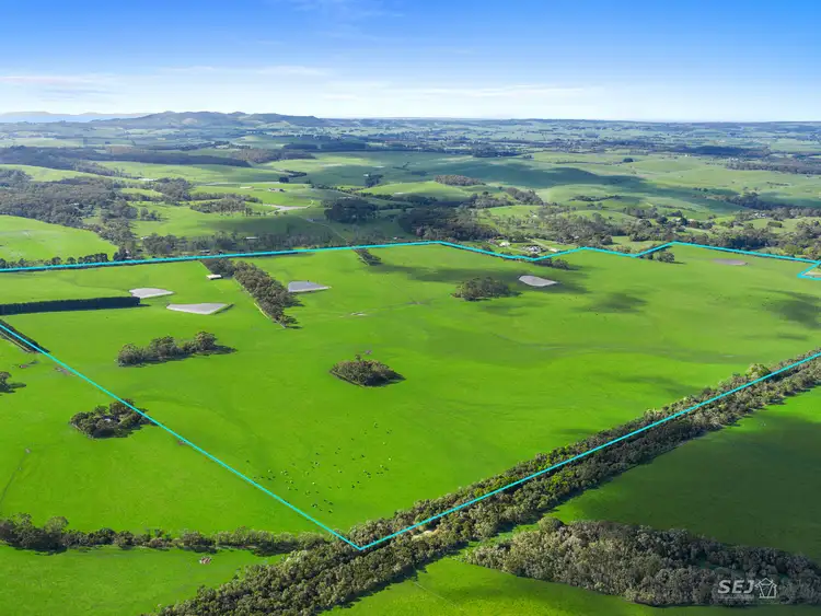 Fourth view of Homely rural property listing, 115 Buffalo-Stony Creek Road, Buffalo VIC 3958