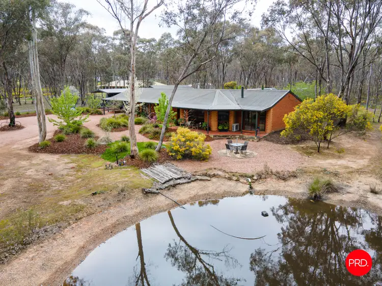 156 Trotting Terrace, Junortoun VIC 3551