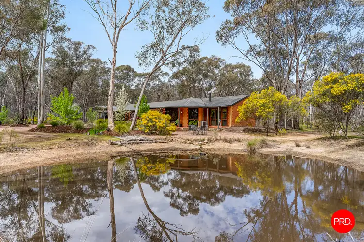 Fourth view of Homely house listing, 156 Trotting Terrace, Junortoun VIC 3551