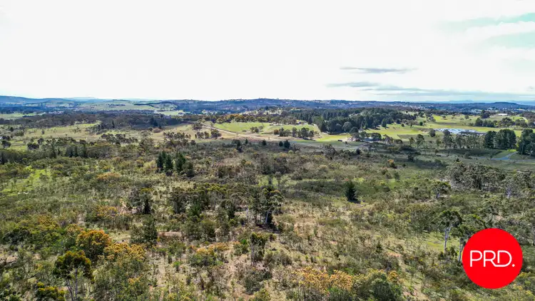 Seventh view of Homely rural property listing, 215 Wirreanda Road, Wamboin NSW 2620