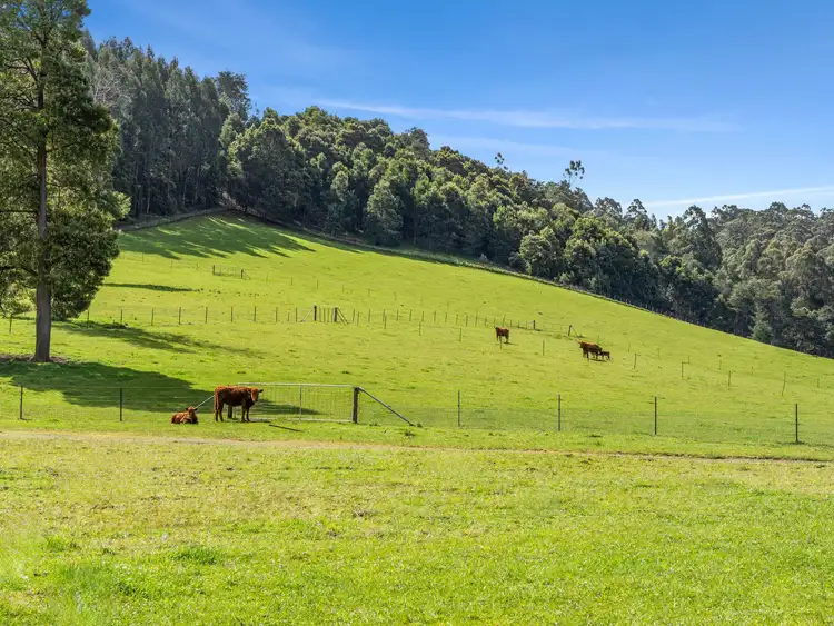 Third view of Homely rural property listing, 360 Lobster Creek Road, West Ulverstone TAS 7315