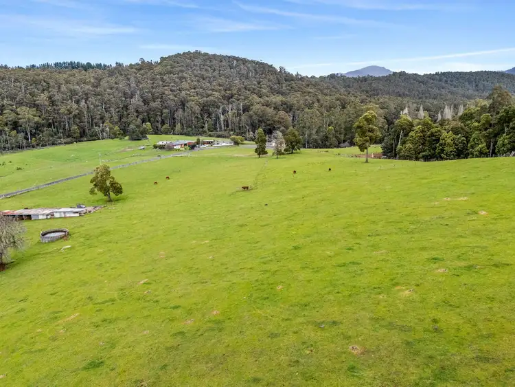 Fourth view of Homely rural property listing, 360 Lobster Creek Road, West Ulverstone TAS 7315